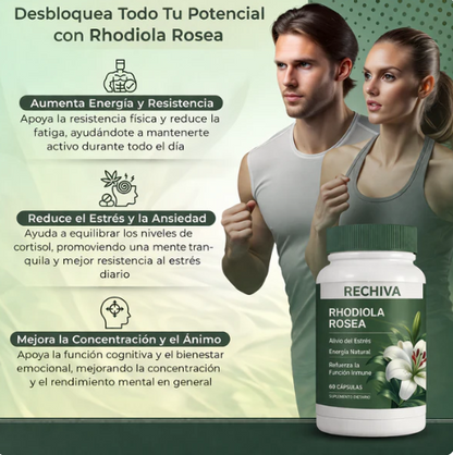 🧠 Rhodiola Premium – Más Enfoque, Energía Mental y Equilibrio Cada Día