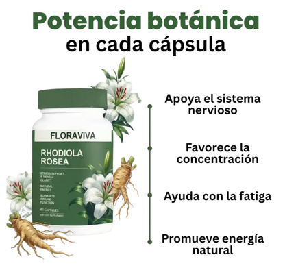 🧠 Rhodiola Premium – Más Enfoque, Energía Mental y Equilibrio Cada Día