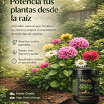Viresta: El impulso natural que tus plantas necesitan para crecer más fuertes y saludables 🌱