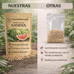 🍉 SweetHarvest™ - Semillas PREMIUM de Sandía Dulce 🍉 (2x1)