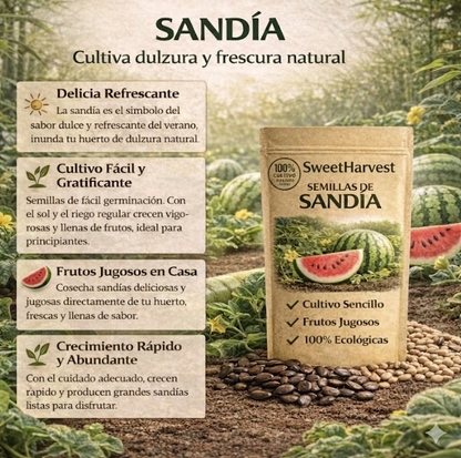 🍉 SweetHarvest™ - Semillas PREMIUM de Sandía Dulce 🍉 (2x1)
