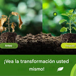 Viresta: El impulso natural que tus plantas necesitan para crecer más fuertes y saludables 🌱